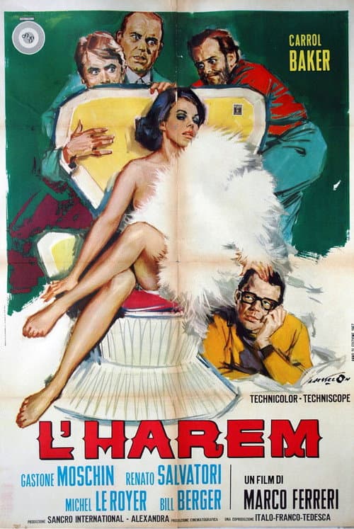 Постер: L'Harem