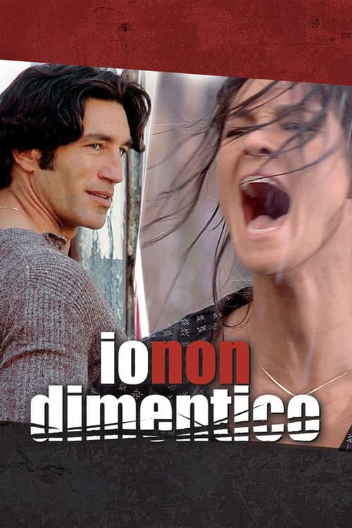 Постер: Io non dimentico