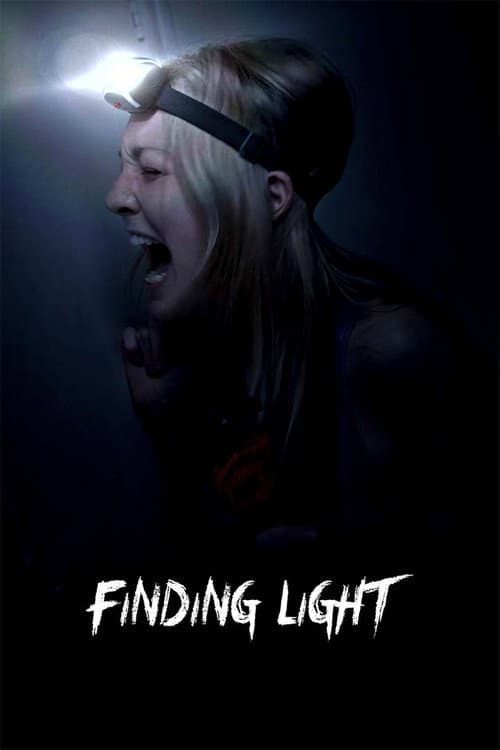 Постер: Finding Light