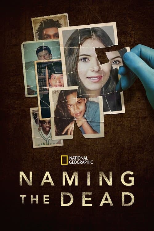 Постер: Naming the Dead