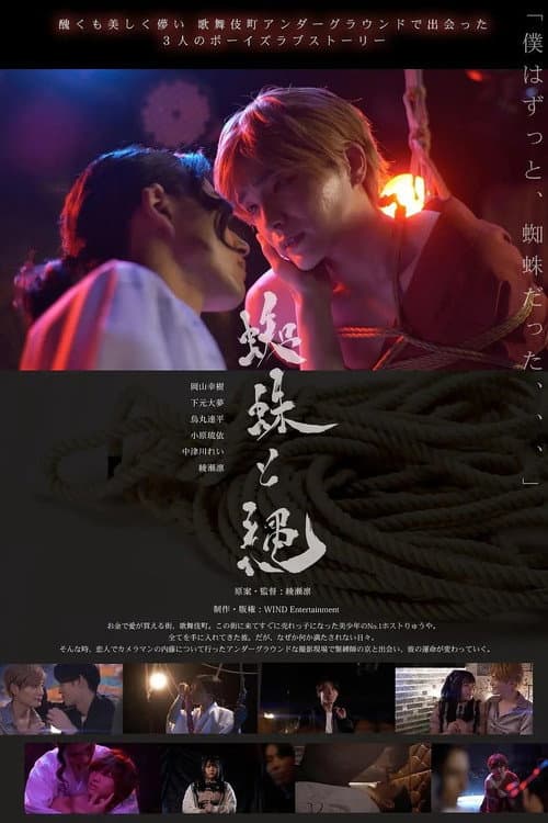 Постер: 蜘蛛と縄