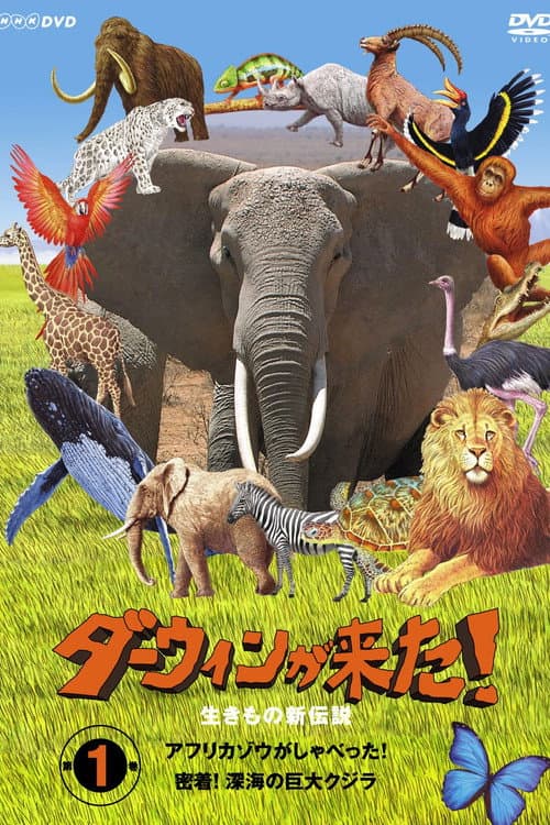 Постер: ダーウィンが来た!
