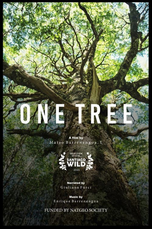 Постер: Un Árbol