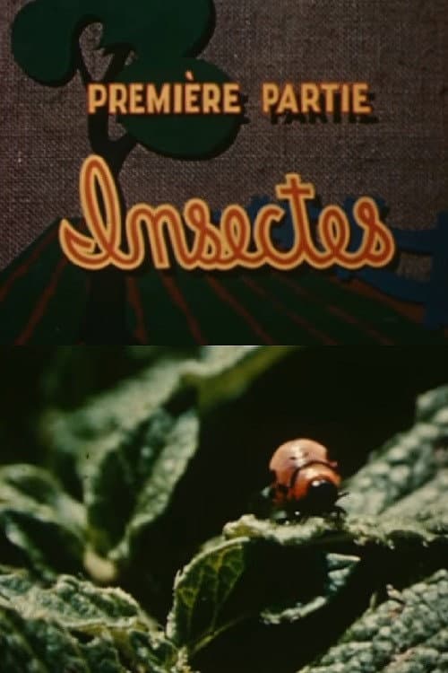 Постер: Les ennemis de la pomme de terre: Insectes