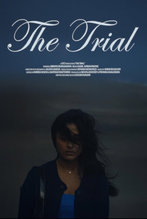 Постер: The Trial