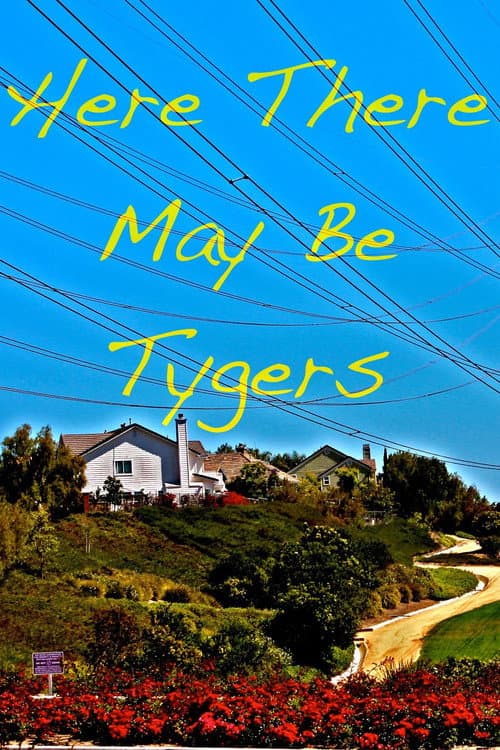 Постер: Here There May Be Tygers