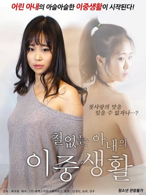 Постер: 철없는 아내의 이중생활