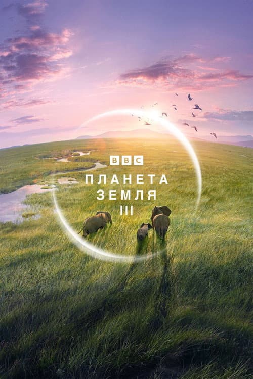 Кадр 2