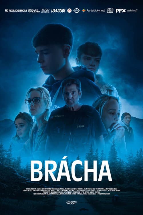 Постер: Brácha