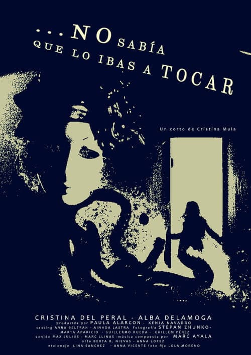 Постер: No sabía que lo ibas a tocar
