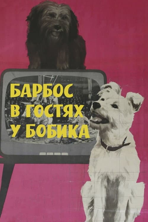 Постер 3