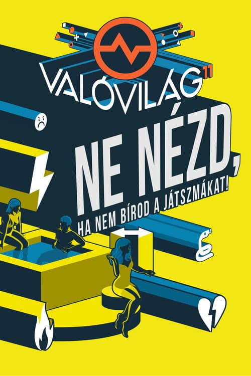 Постер: Való Világ