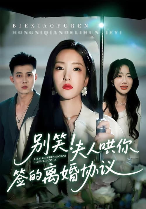 Постер: 别笑！夫人哄你签的离婚协议