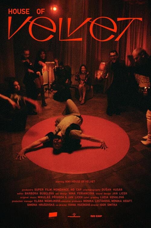 Постер: House of Velvet