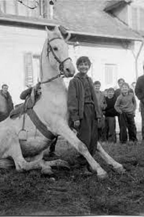 Постер: Vreme konja