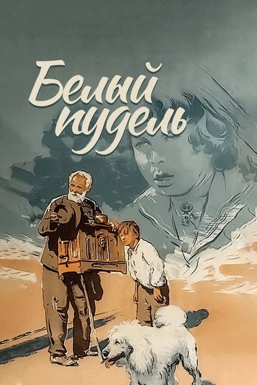 Постер: Белый пудель