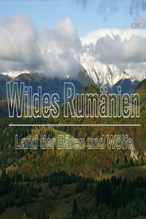 Постер: Wildes Rumänien - Land der Bären und Wölfe