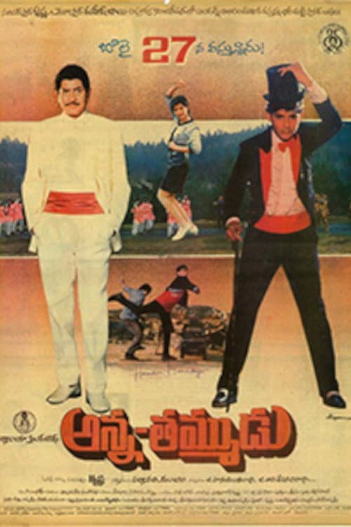 Постер: అన్న-తమ్ముడు