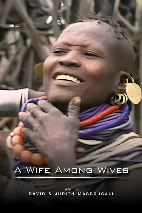 Постер: A Wife Among Wives