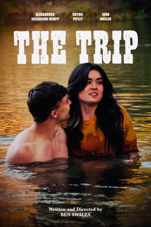 Постер: The Trip