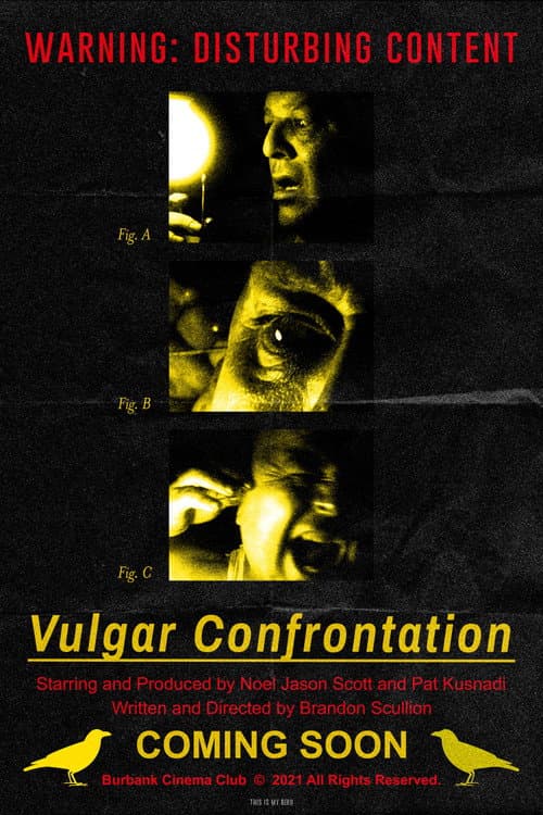 Постер: Vulgar Confrontation
