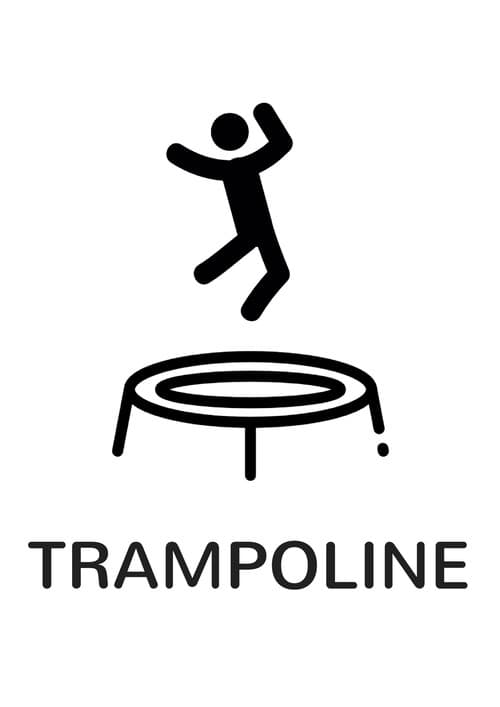 Постер: Trampoline