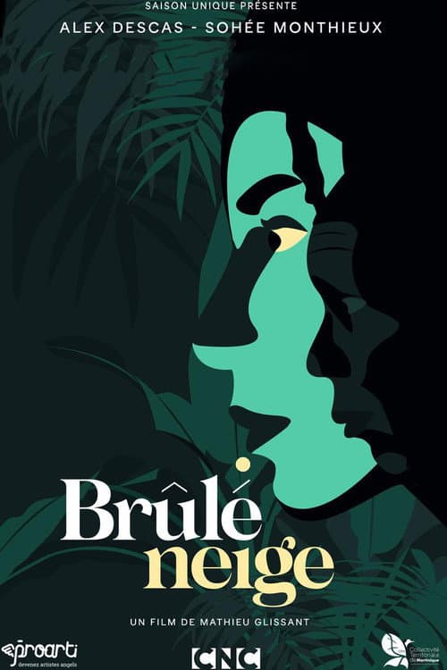 Постер: Brûlé neige
