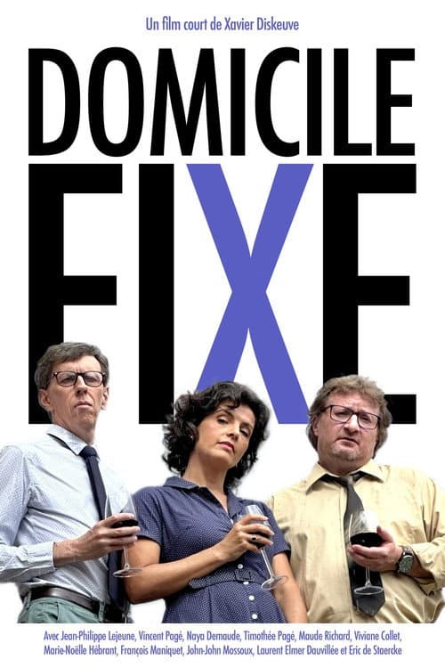 Постер: Domicile fixe