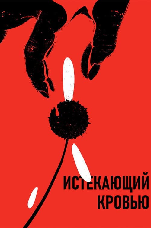 Кадр 2