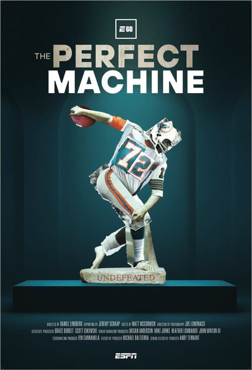 Постер: The Perfect Machine