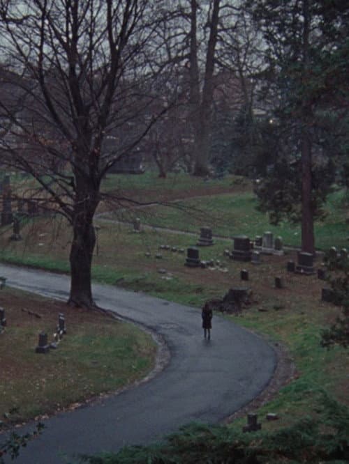 Постер: The Funeral