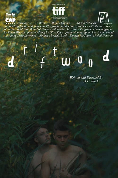 Постер: Driftwood