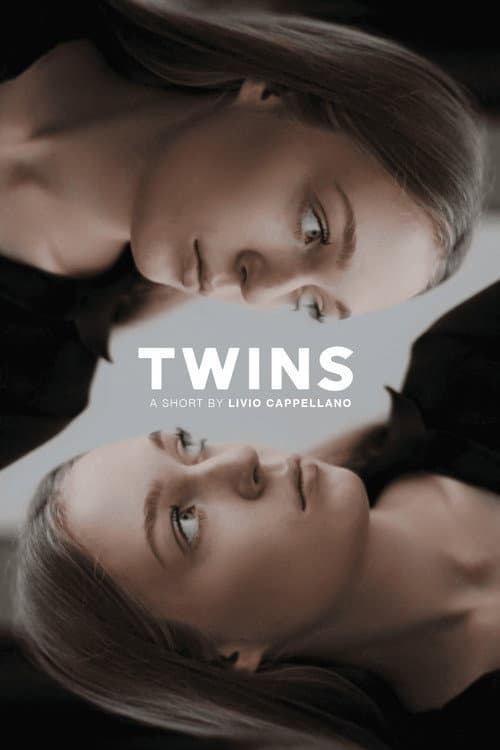 Постер: Twins