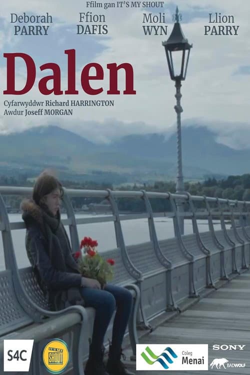 Постер: Dalen