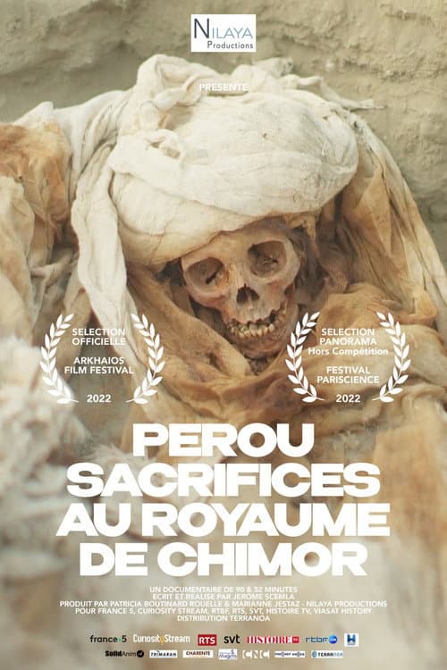 Постер: Pérou - Sacrifices au royaume de Chimor