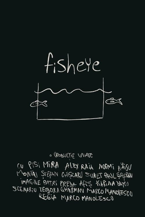 Постер: fisheye