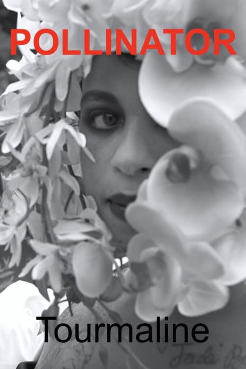 Постер: Pollinator