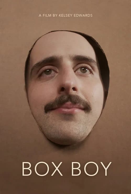 Постер: Box Boy
