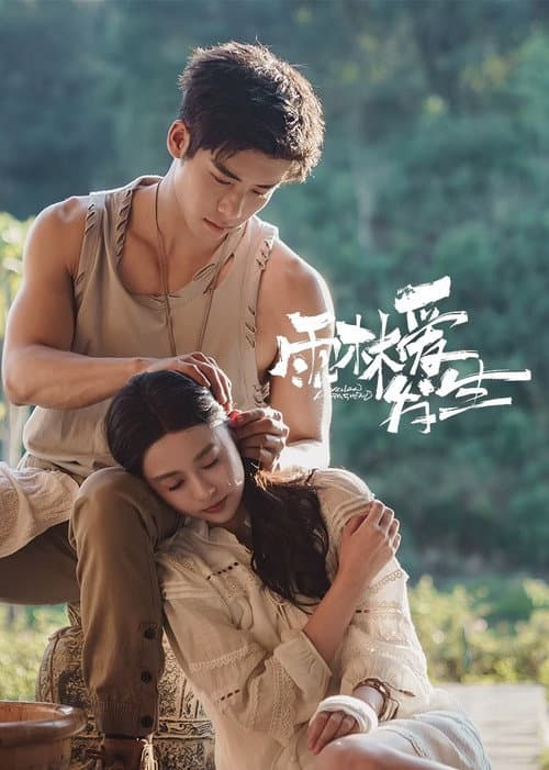 Постер: 雨林爱发生