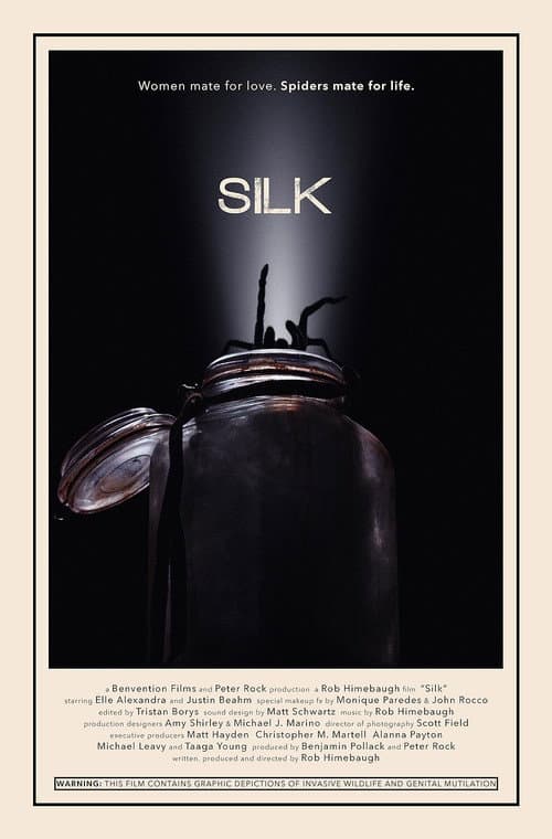 Постер: Silk