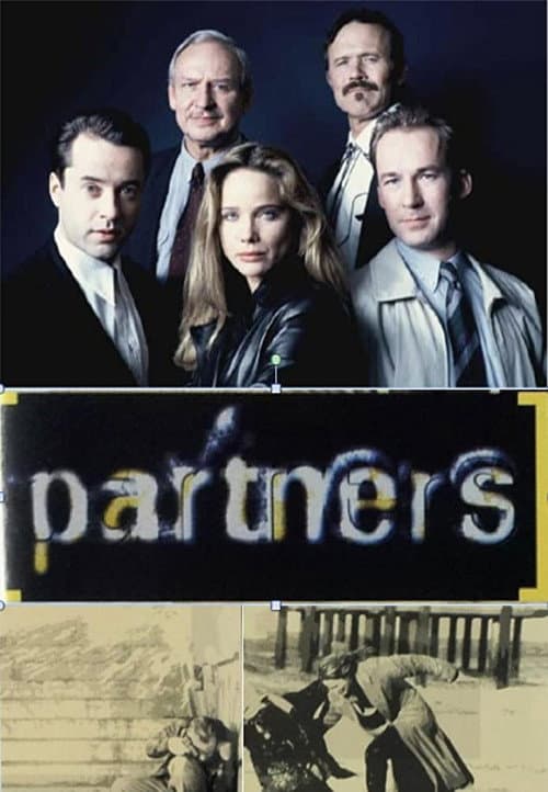 Постер: Die Partner
