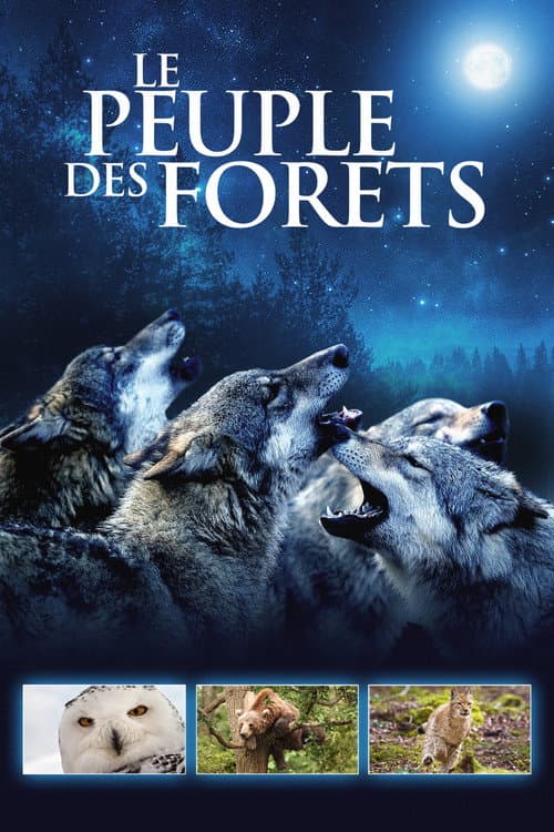 Постер: Le Peuple des forêts