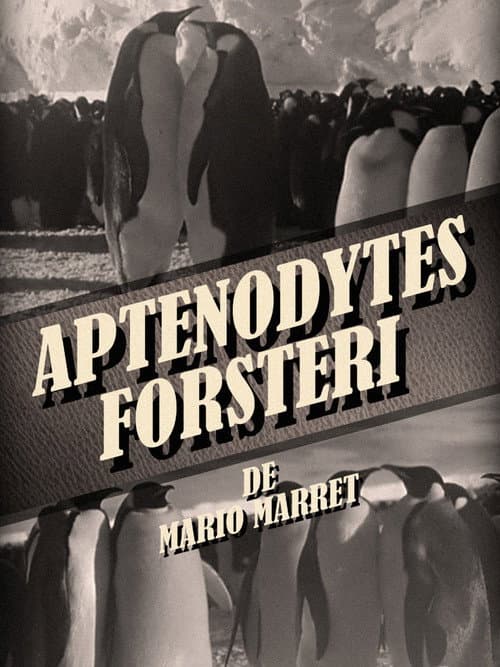 Постер: Aptenodytes Forsteri