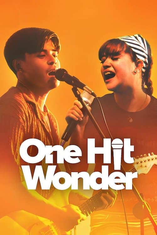 Постер: One Hit Wonder