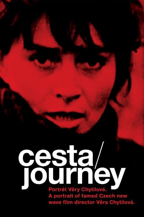 Постер: Cesta – portrét Věry Chytilové