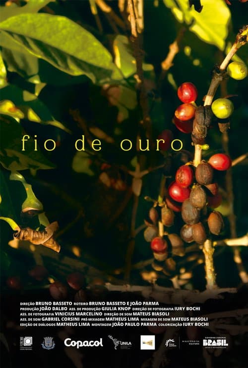 Постер: Fio de Ouro