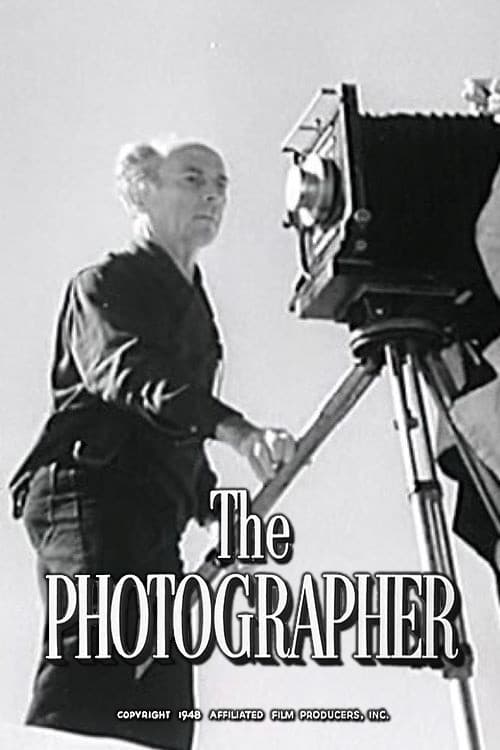 Постер: The Photographer