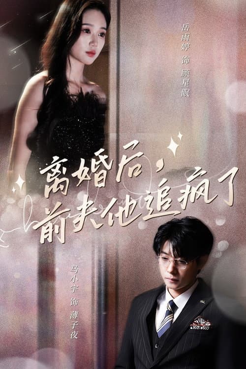 Постер: 离婚后，前夫他追疯了
