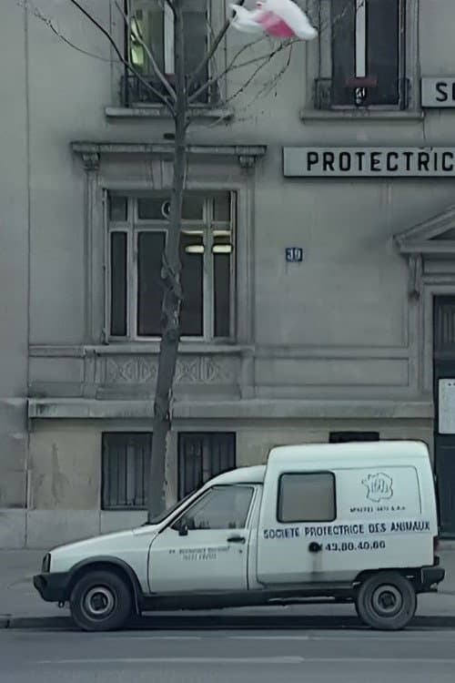 Постер: Nous sommes tous des cafards