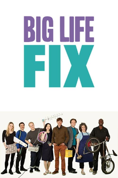 Постер: The Big Life Fix
